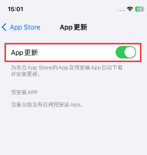 宁夏苹果15维修中心如何让iPhone15APP自动更新